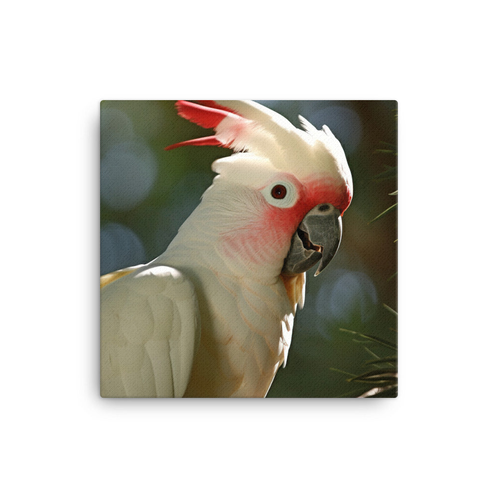 Moluccan Cockatoo Canvas - PosterfyAI.com