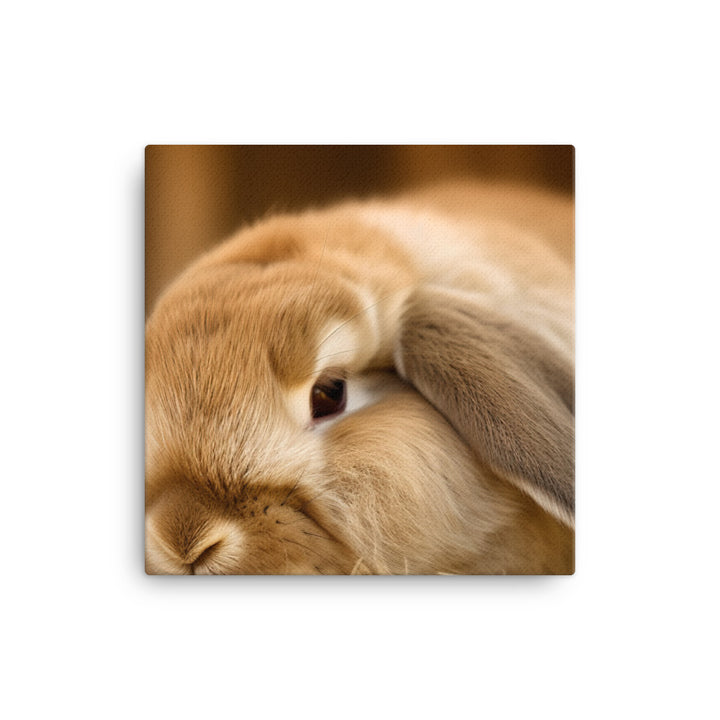 Holland Lop Canvas - PosterfyAI.com