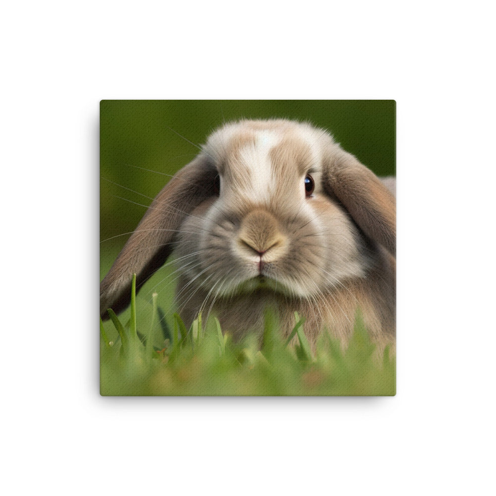 Holland Lop Canvas - PosterfyAI.com