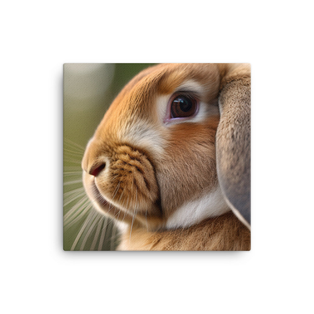 French Lop Portrait Canvas - PosterfyAI.com