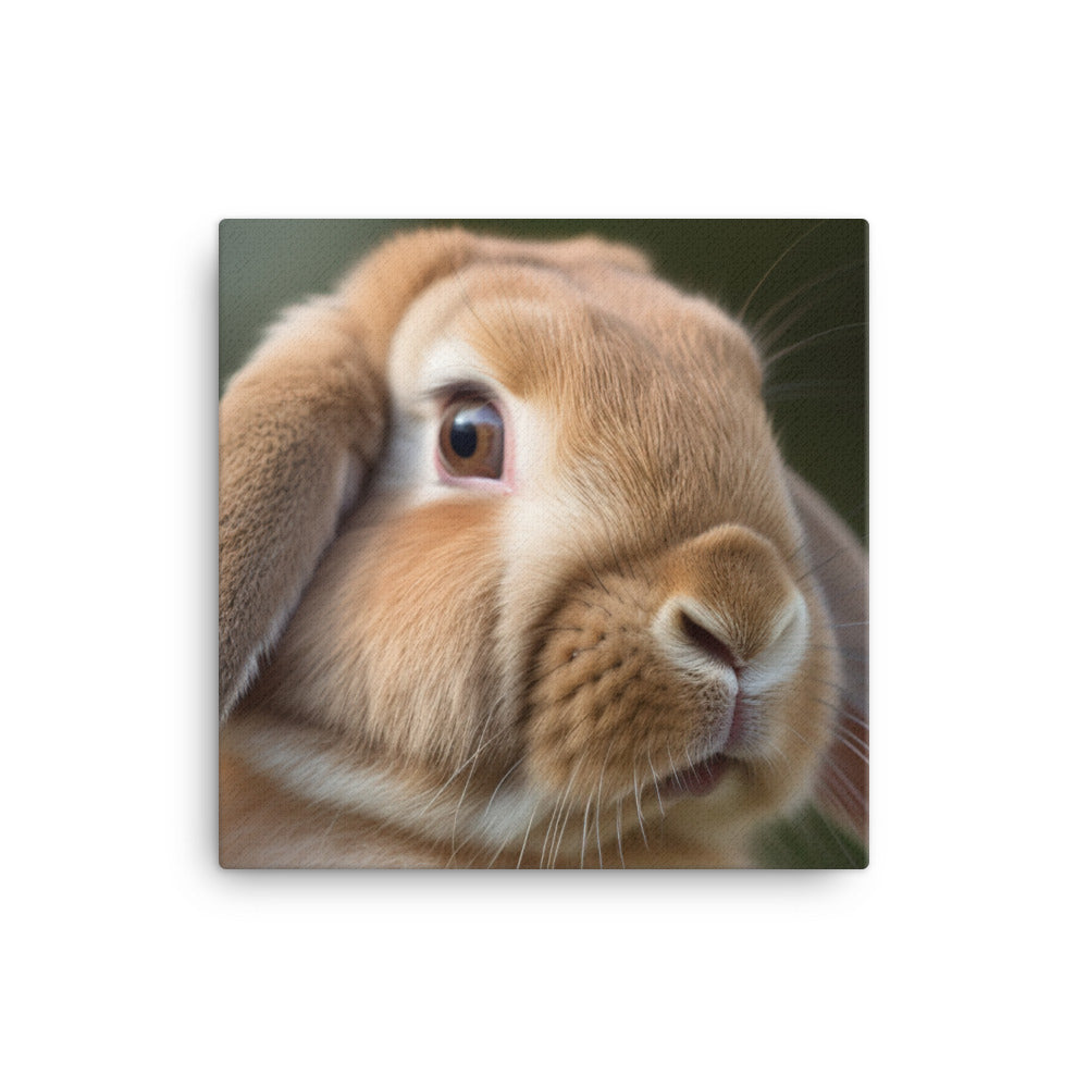French Lop Portrait Canvas - PosterfyAI.com