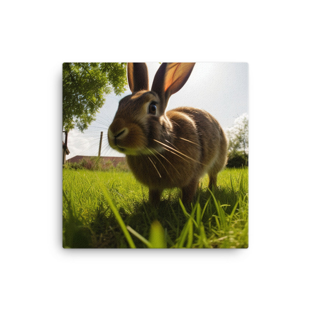 Flemish Giant Rabbit Outdoors Canvas - PosterfyAI.com