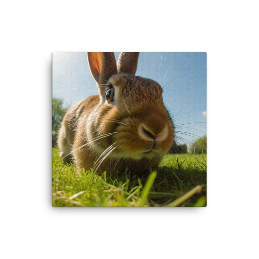 Flemish Giant Rabbit Outdoors Canvas - PosterfyAI.com