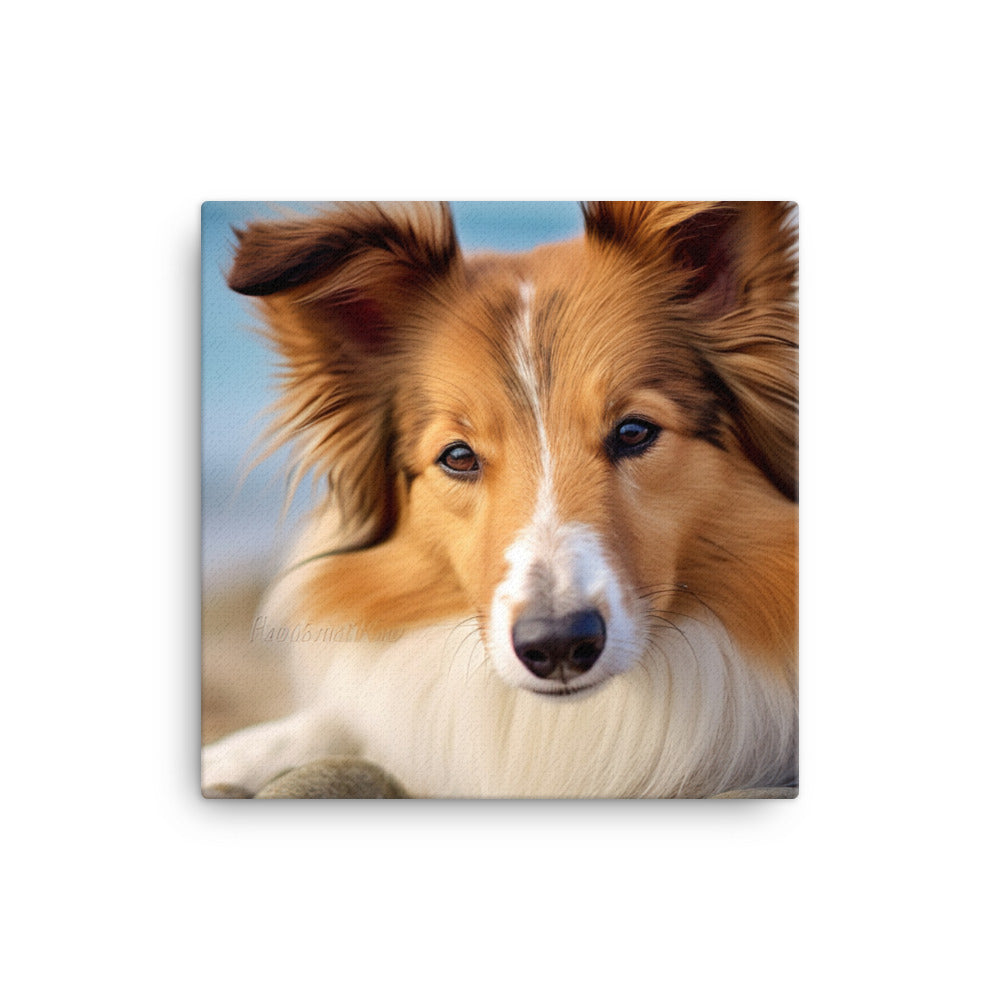 Shetland Sheepdog Relaxing on the Beach canvas - Posterfy.AI