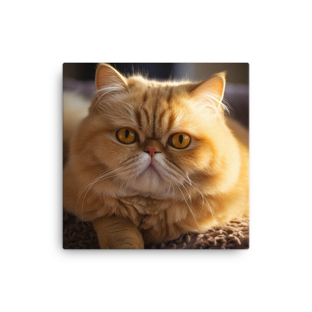 Exotic Shorthair Cat Canvas - PosterfyAI.com