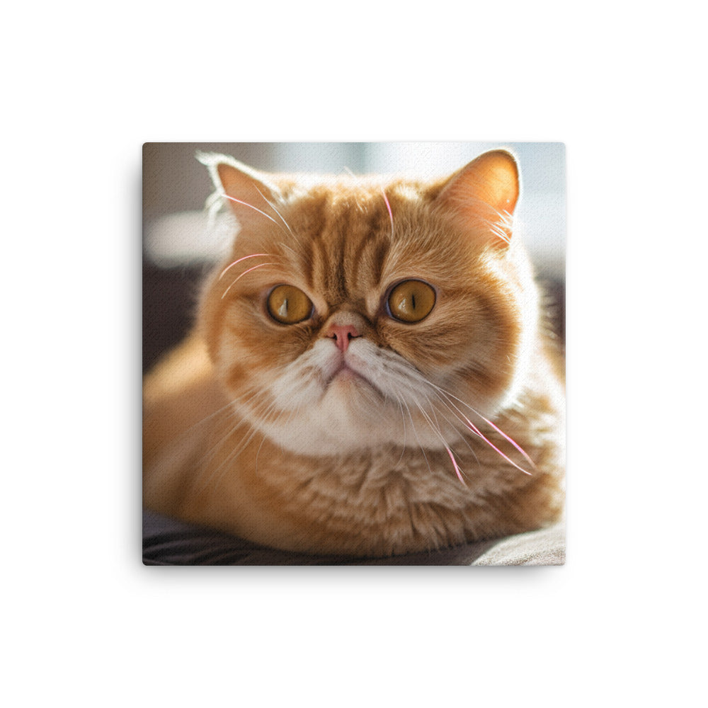 Exotic Shorthair Cat Canvas - PosterfyAI.com