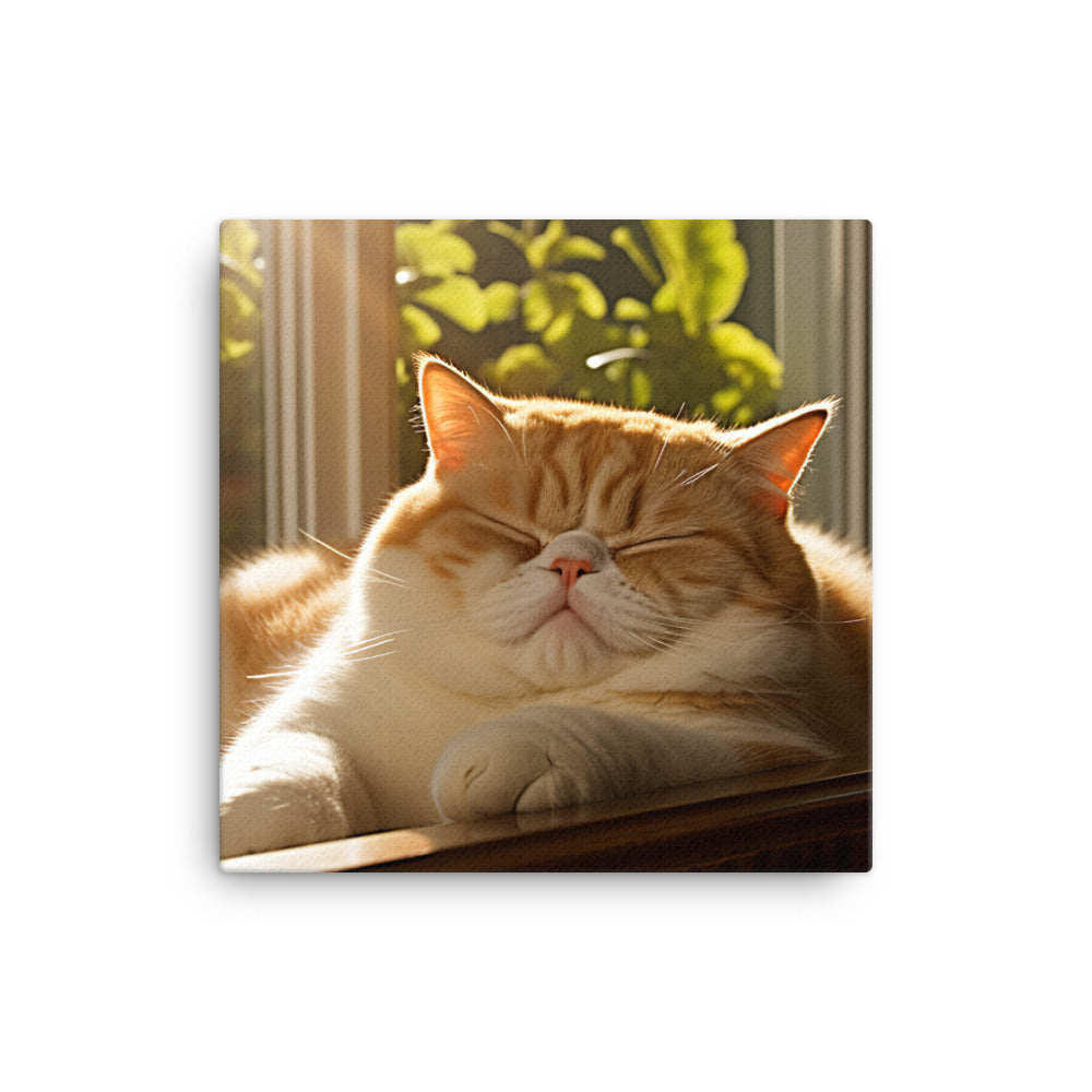 Exotic Shorthair Cat Napping Canvas - PosterfyAI.com