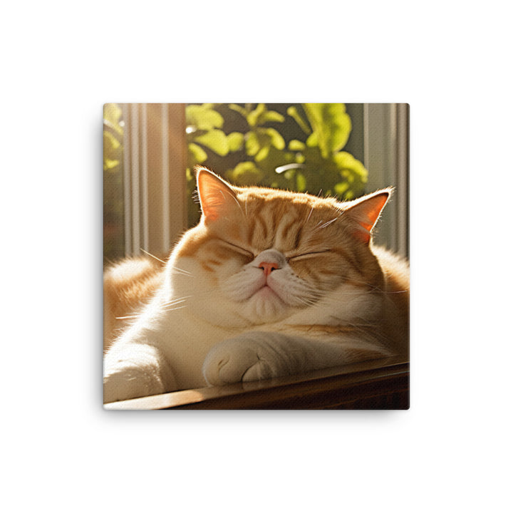 Exotic Shorthair Cat Napping Canvas - PosterfyAI.com