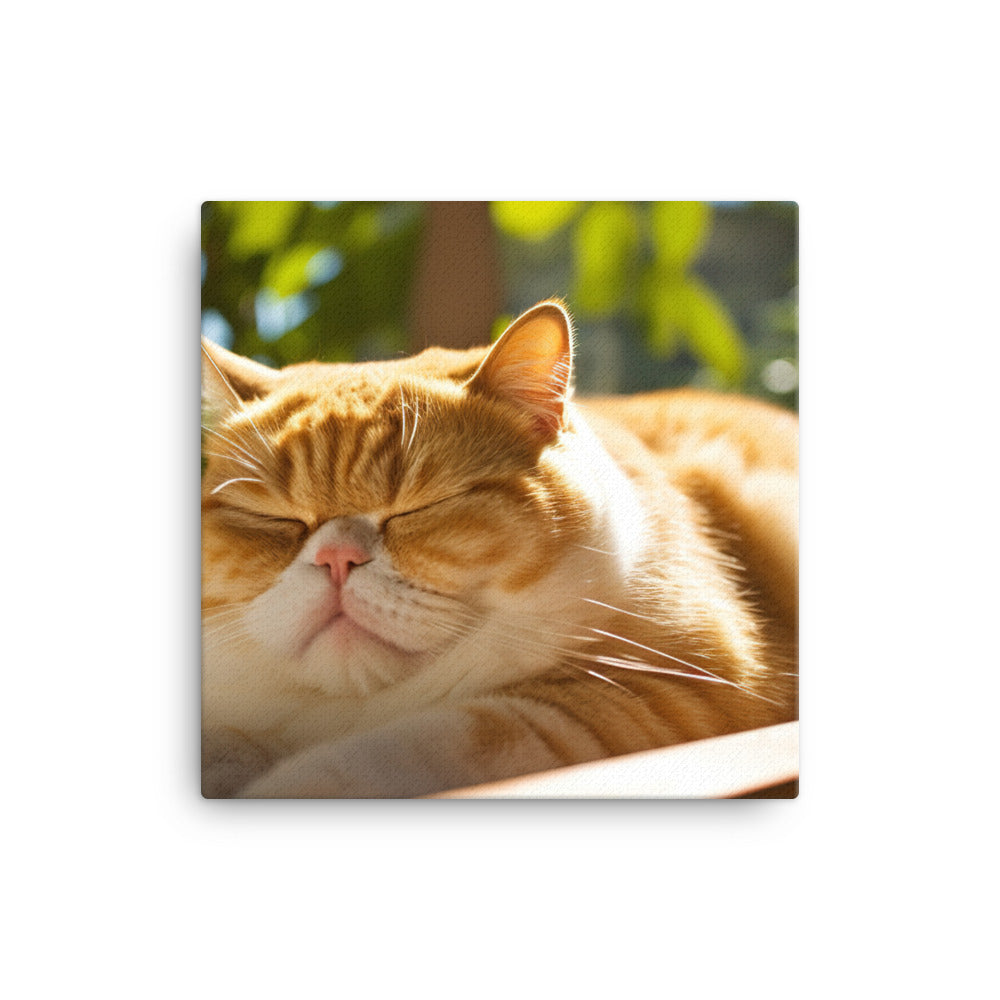 Exotic Shorthair Cat Napping Canvas - PosterfyAI.com