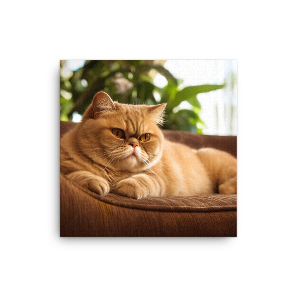 Exotic Shorthair Cat Lounging Canvas - PosterfyAI.com