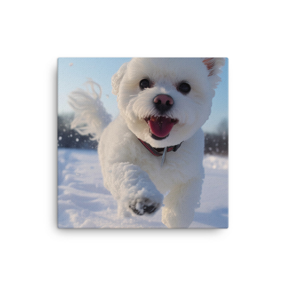 Bichon Frise in the Snow canvas - Posterfy.AI