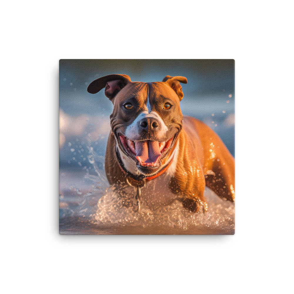 Playful American Staffordshire Terrier canvas - Posterfy.AI