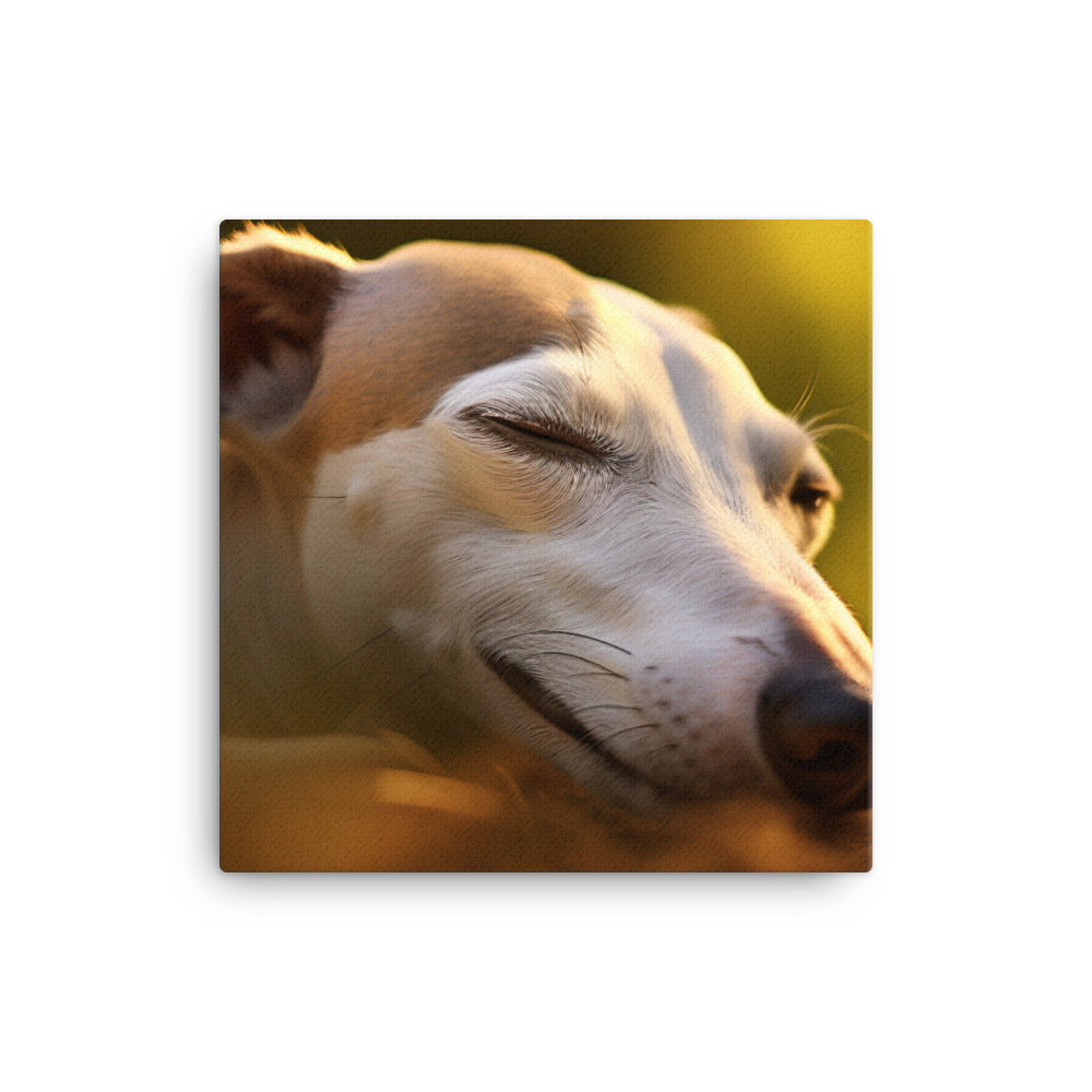 Whippet Beauty Sleep Canvas - PosterfyAI.com