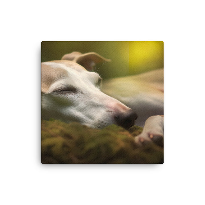 Whippet Beauty Sleep Canvas - PosterfyAI.com