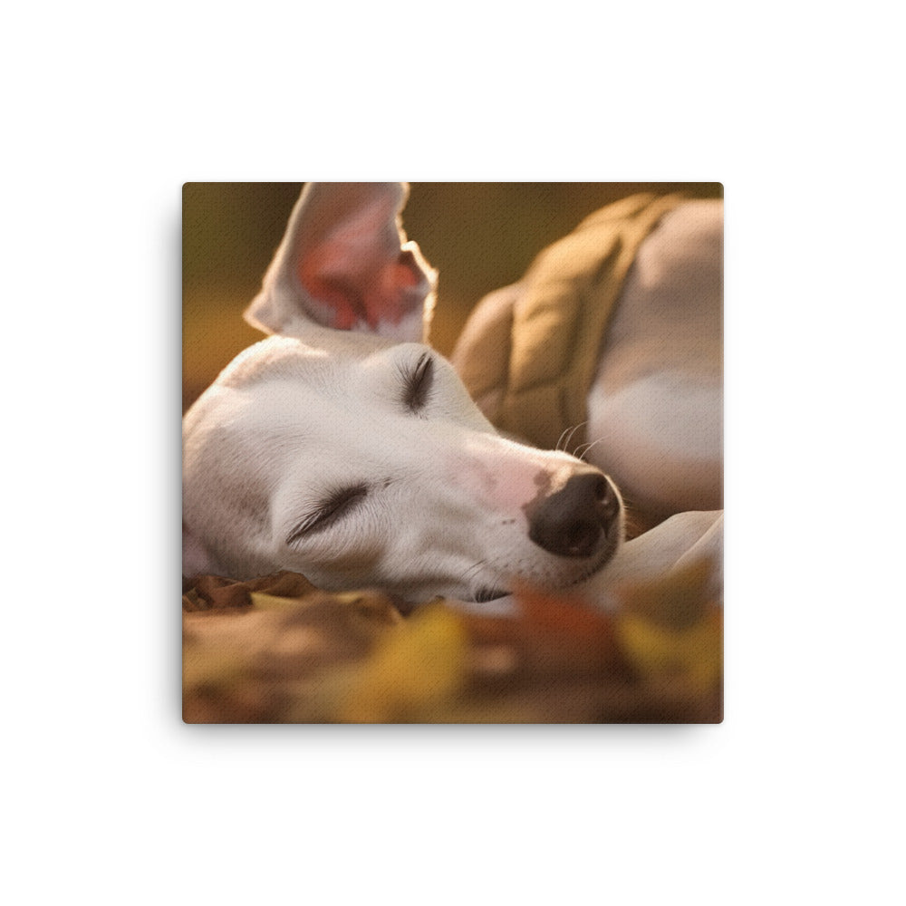 Whippet Beauty Sleep Canvas - PosterfyAI.com