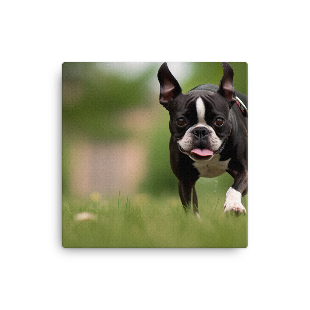 Spunky Boston Terrier in the Park Canvas - PosterfyAI.com