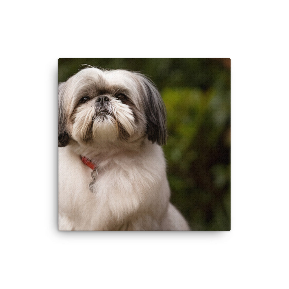 Regal Shih Tzu Posing in the Garden Canvas - PosterfyAI.com