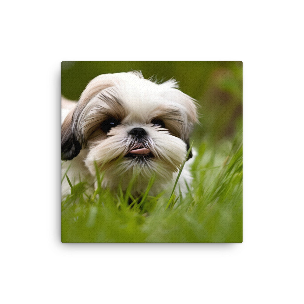 Playful Shih Tzu Enjoying the Outdoors Canvas - PosterfyAI.com