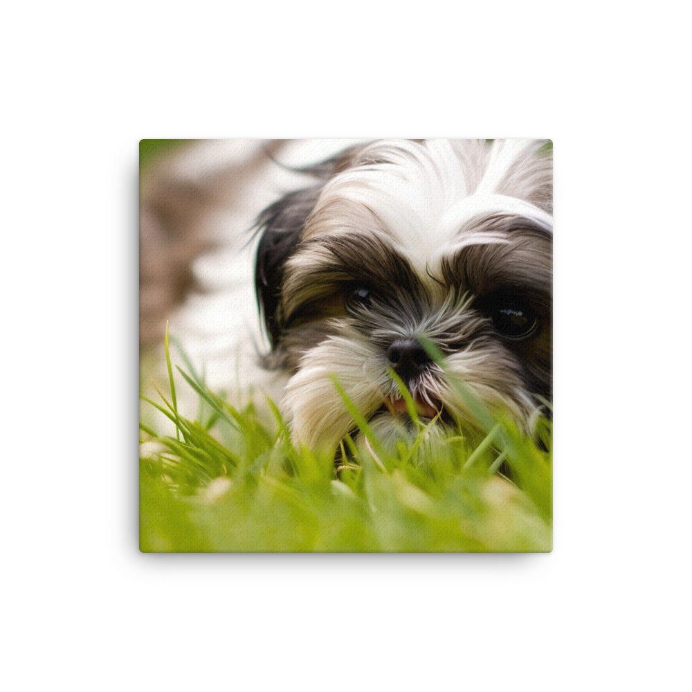 Playful Shih Tzu Enjoying the Outdoors Canvas - PosterfyAI.com