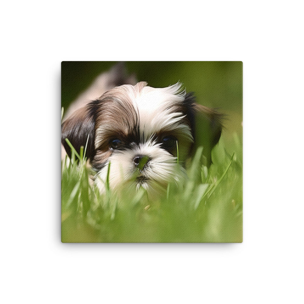 Playful Shih Tzu Enjoying the Outdoors Canvas - PosterfyAI.com