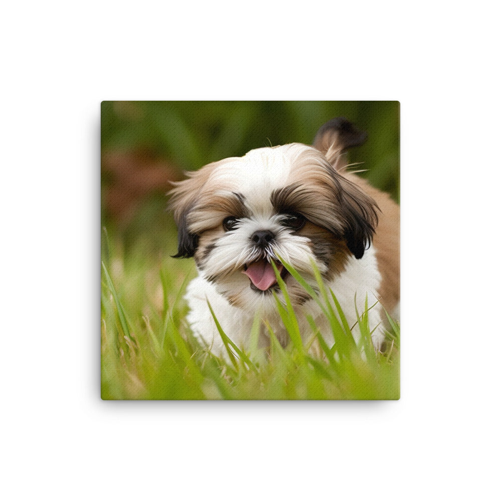 Playful Shih Tzu Enjoying the Outdoors Canvas - PosterfyAI.com