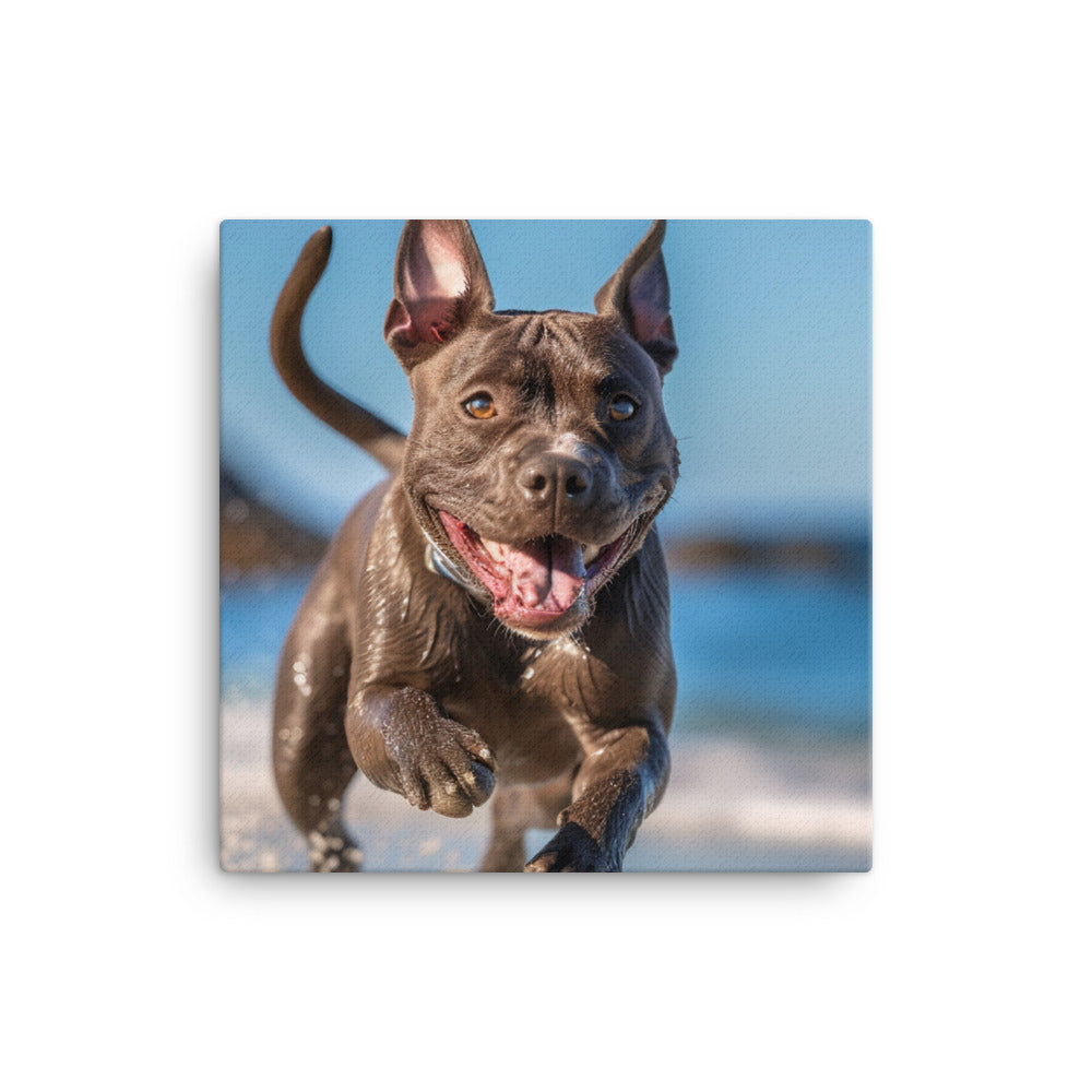 Playful American Staffordshire Terrier Canvas - PosterfyAI.com