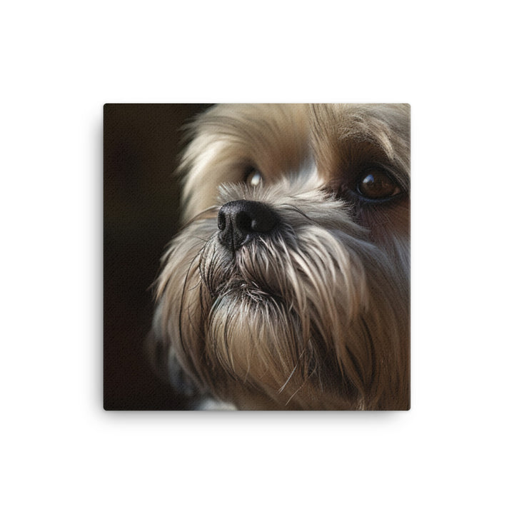 Lhasa Apso Gaze Canvas - PosterfyAI.com