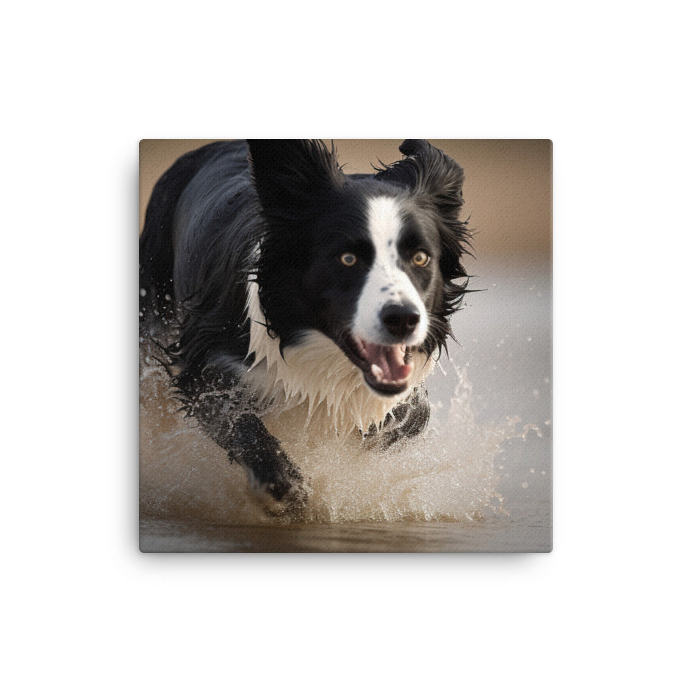 Energetic Border Collie in Action Canvas - PosterfyAI.com