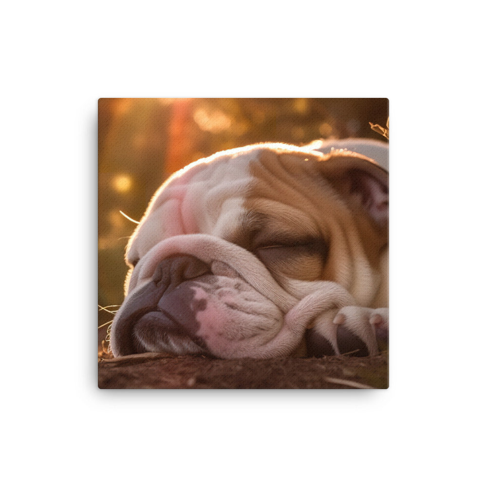 Cute Bulldog in the Sun Canvas - PosterfyAI.com