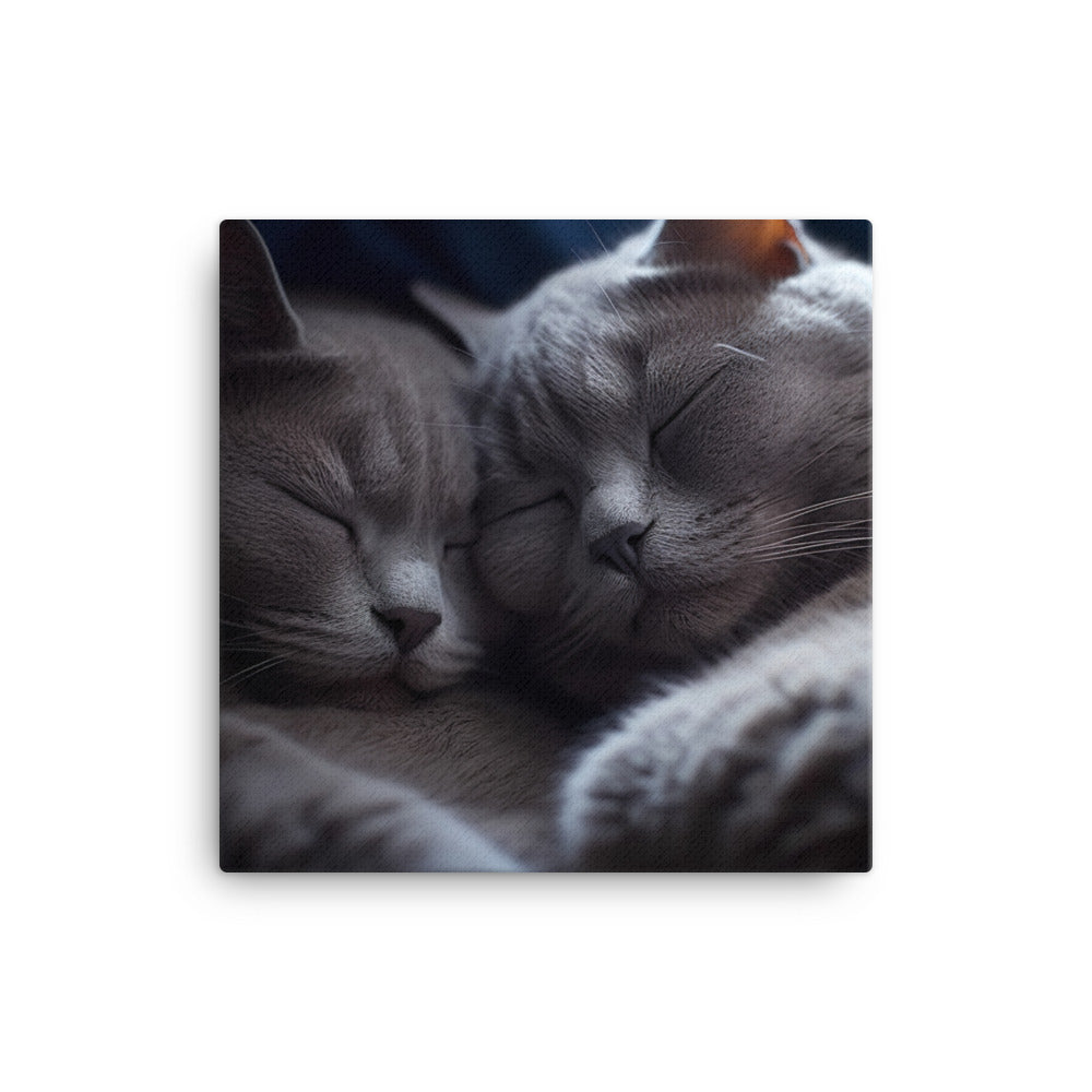 British Shorthair Cat Canvas - PosterfyAI.com