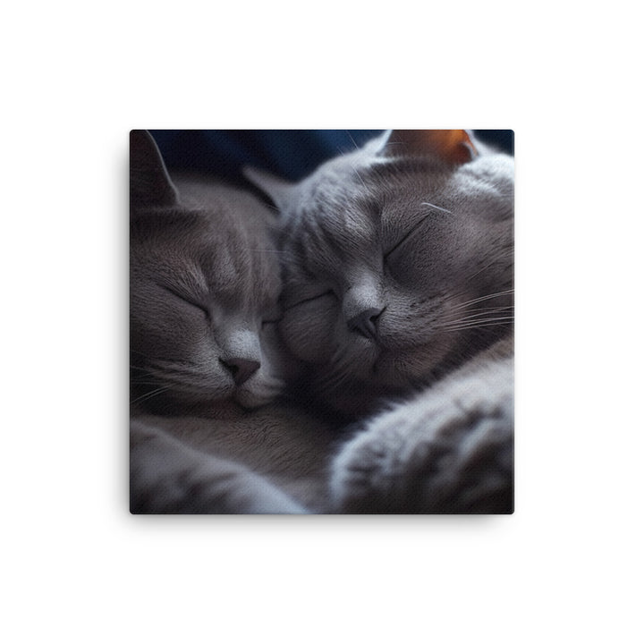 British Shorthair Cat Canvas - PosterfyAI.com