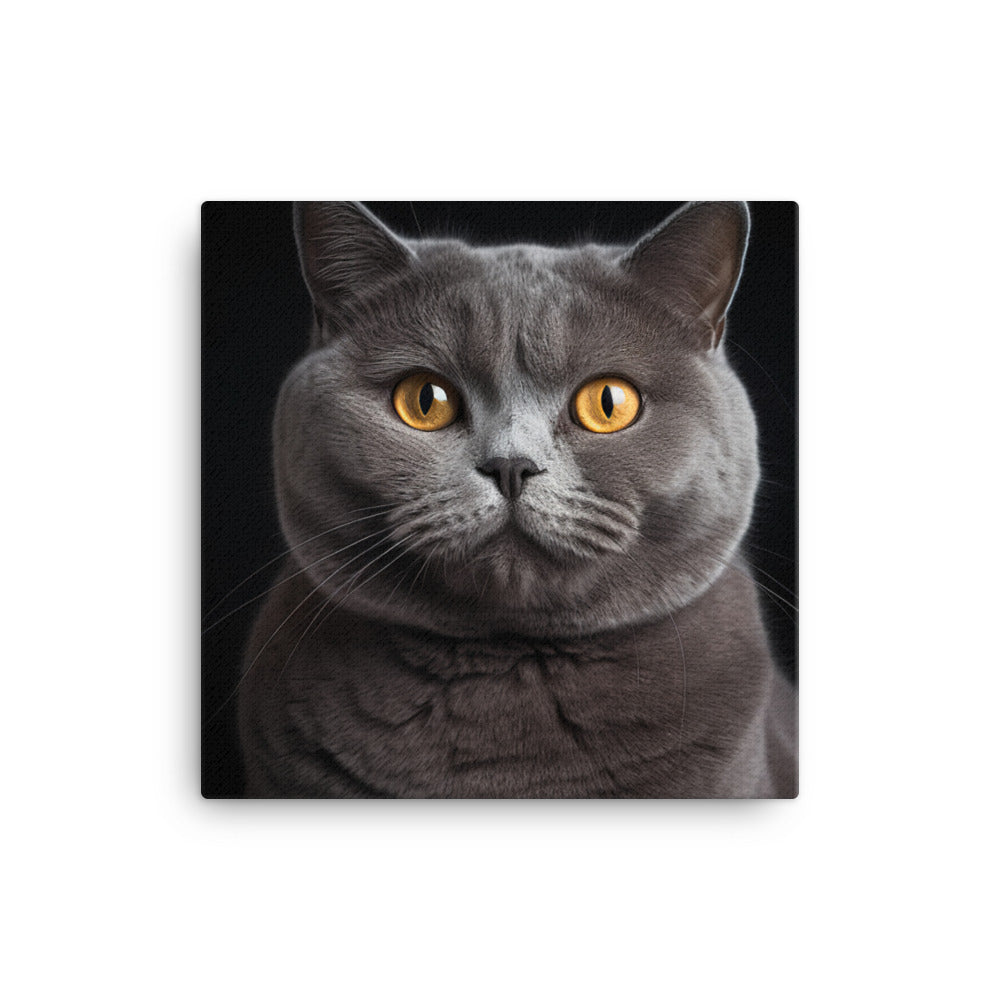 British Shorthair Cat Canvas - PosterfyAI.com