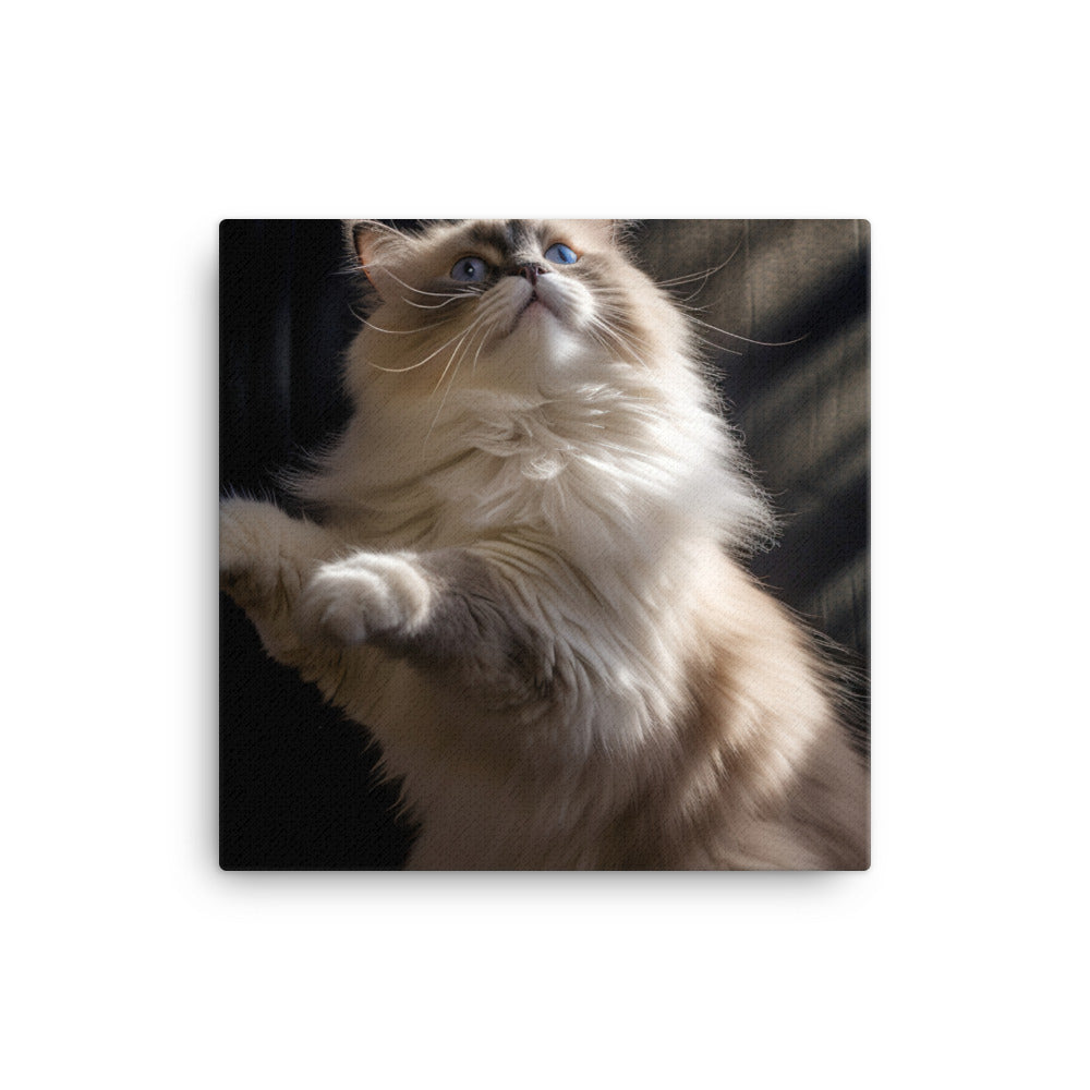 Ragdoll Cat in Motion Canvas - PosterfyAI.com