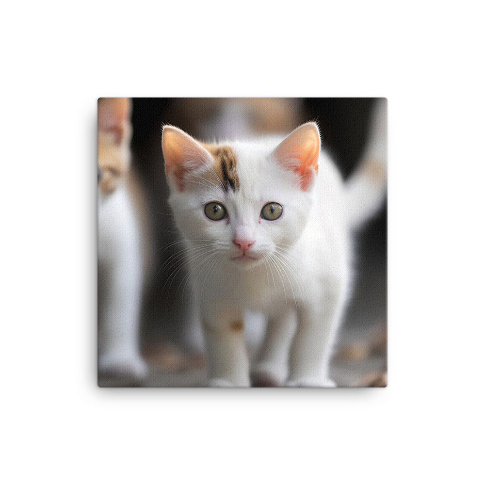 Japanese Bobtail Kitten Canvas - PosterfyAI.com