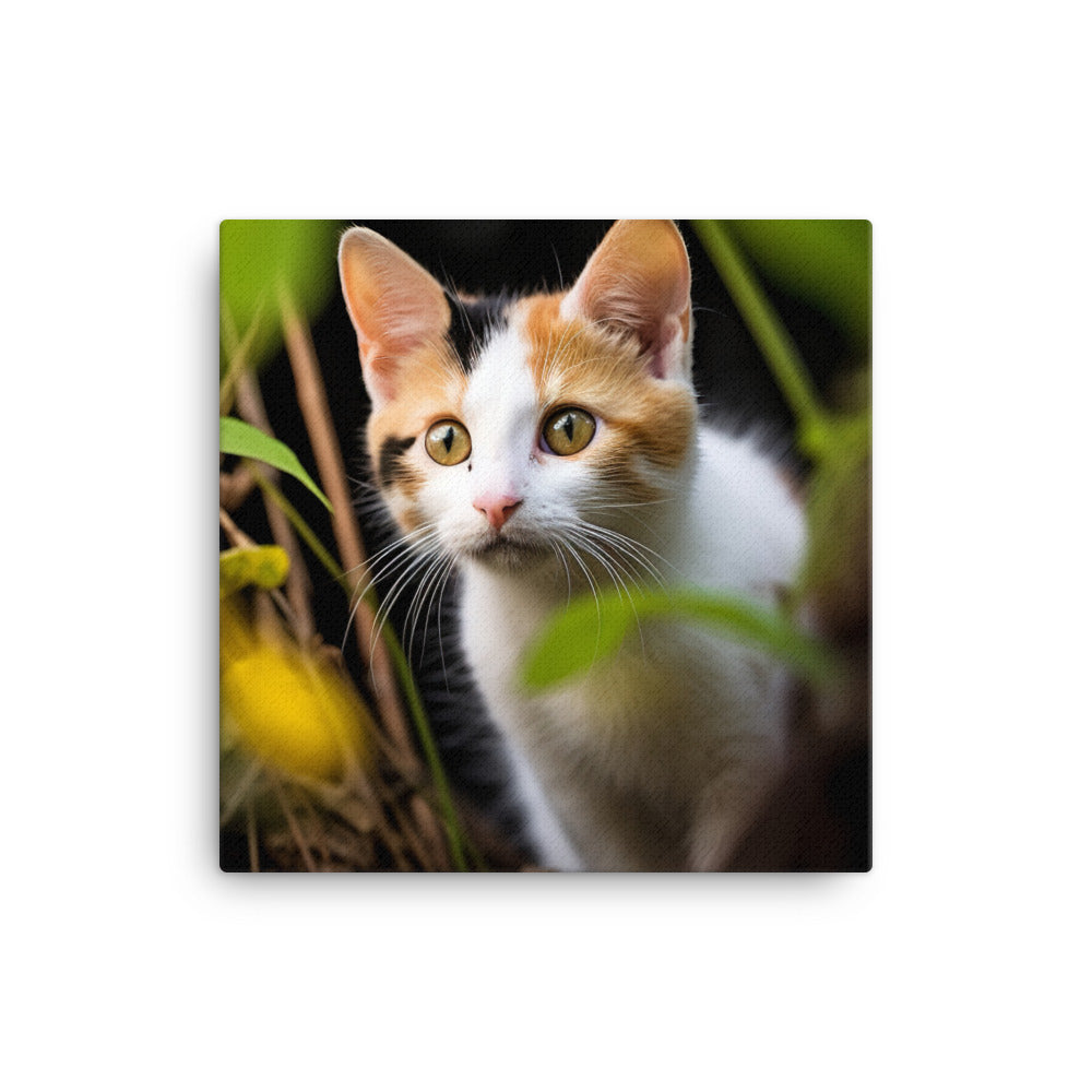 Japanese Bobtail Kitten Canvas - PosterfyAI.com
