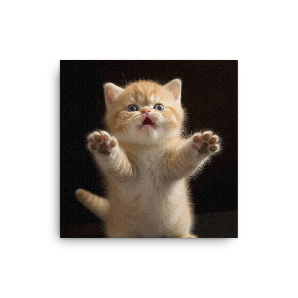 Exotic Shorthair Kitten Canvas - PosterfyAI.com