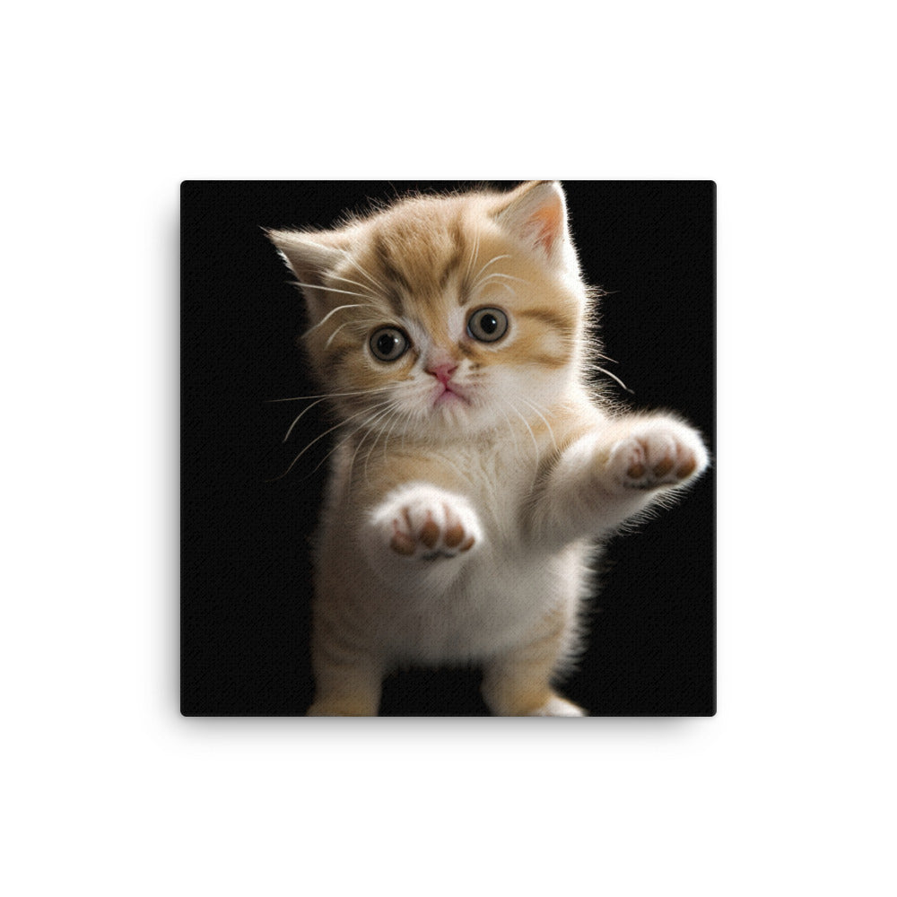 Exotic Shorthair Kitten Canvas - PosterfyAI.com