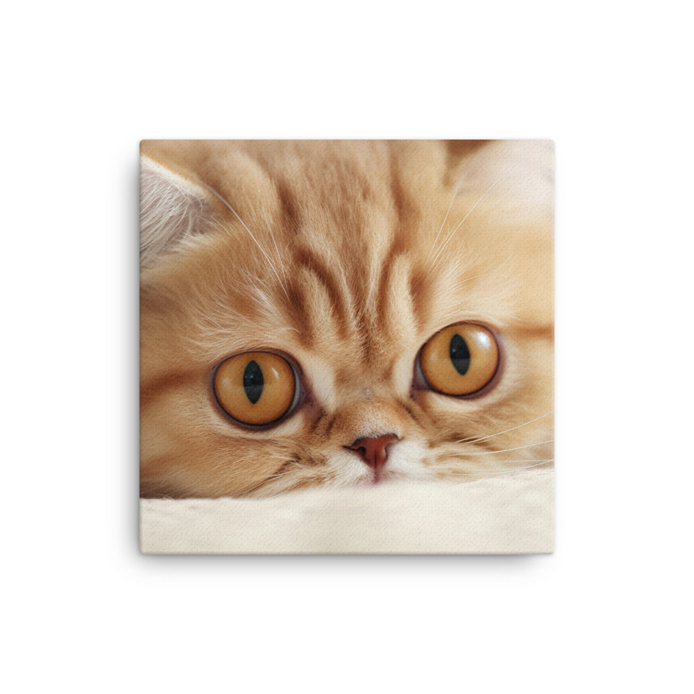 Exotic Shorthair Kitten Canvas - PosterfyAI.com