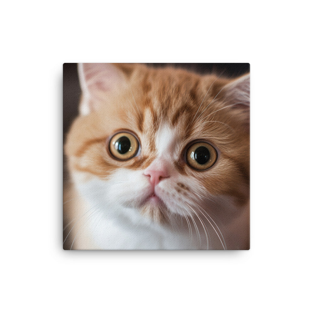 Exotic Shorthair Kitten Canvas - PosterfyAI.com