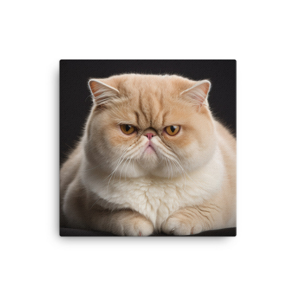 Elegance of Exotic Shorthair Cat Canvas - PosterfyAI.com