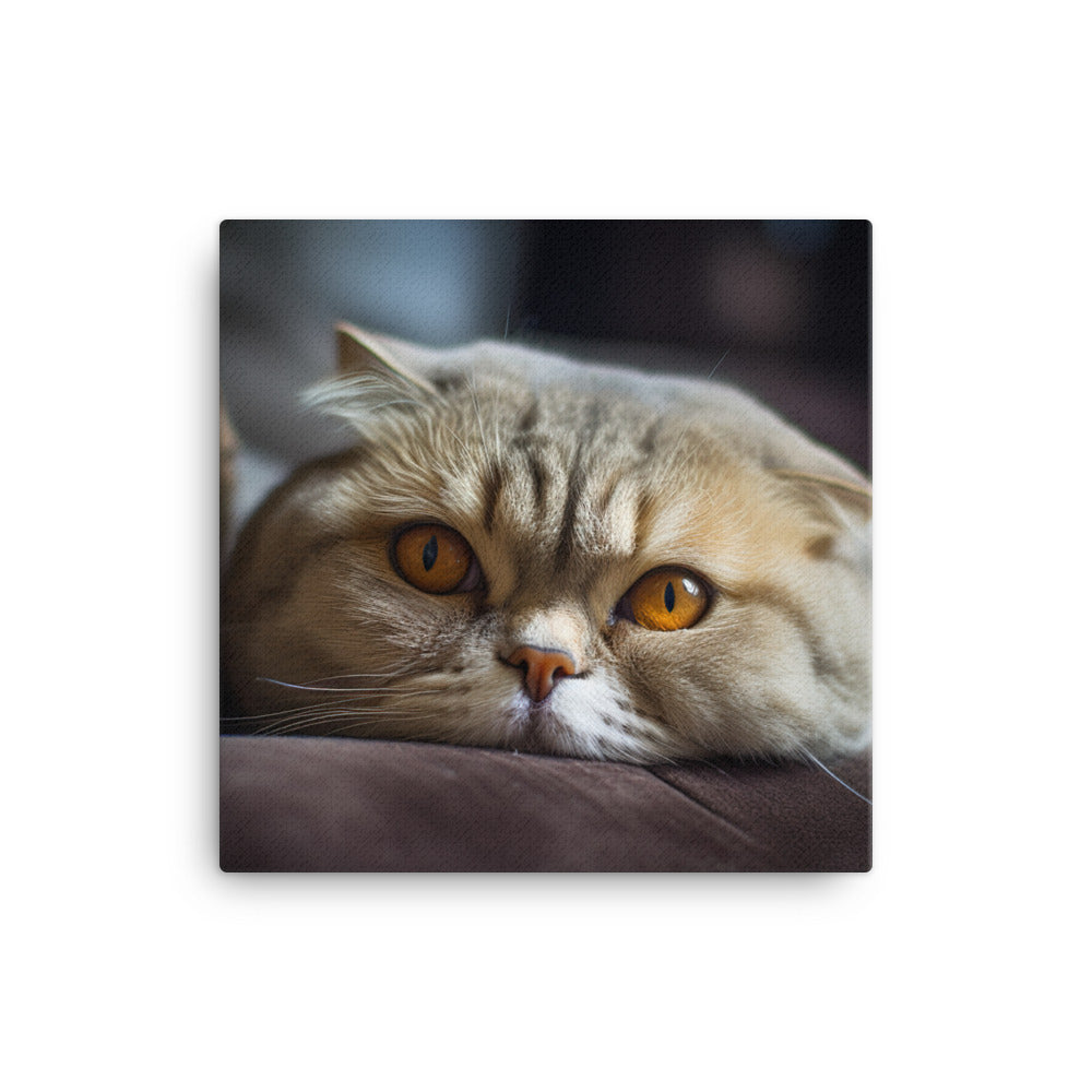 Scottish Fold Cat Canvas - PosterfyAI.com