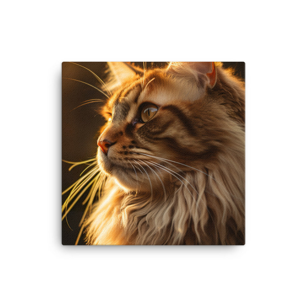 Maine Coon Elegance in Golden Hour Canvas - PosterfyAI.com