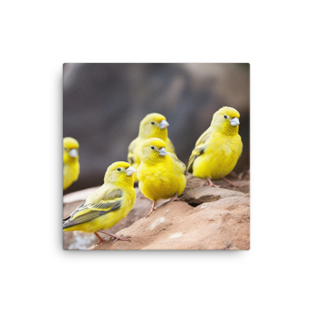 Canaries in a natural habitat Canvas - PosterfyAI.com