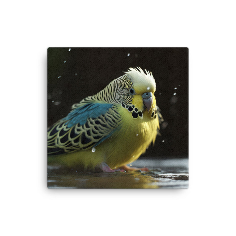 Budgie Taking a Bath Canvas - PosterfyAI.com