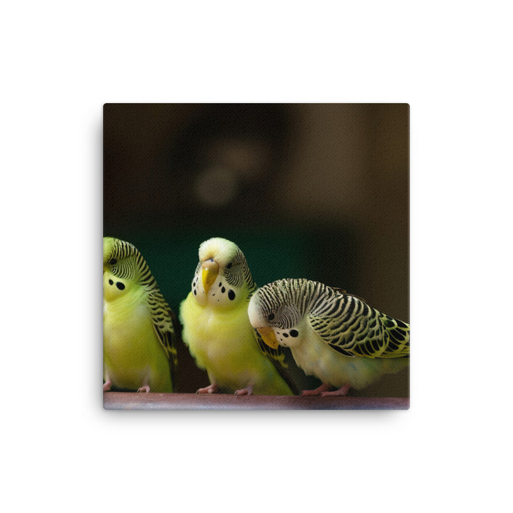 Budgerigar Canvas - PosterfyAI.com