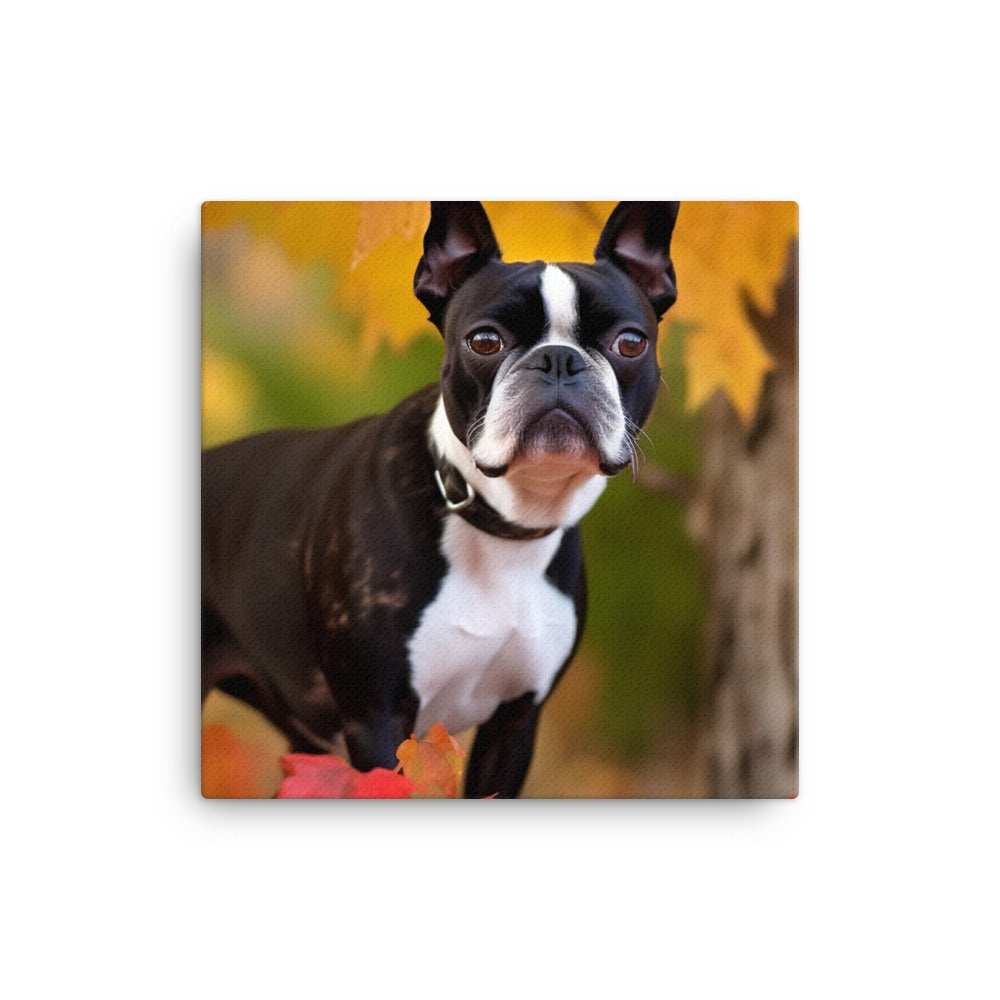 Boston Terrier with Fall Colors Canvas - PosterfyAI.com