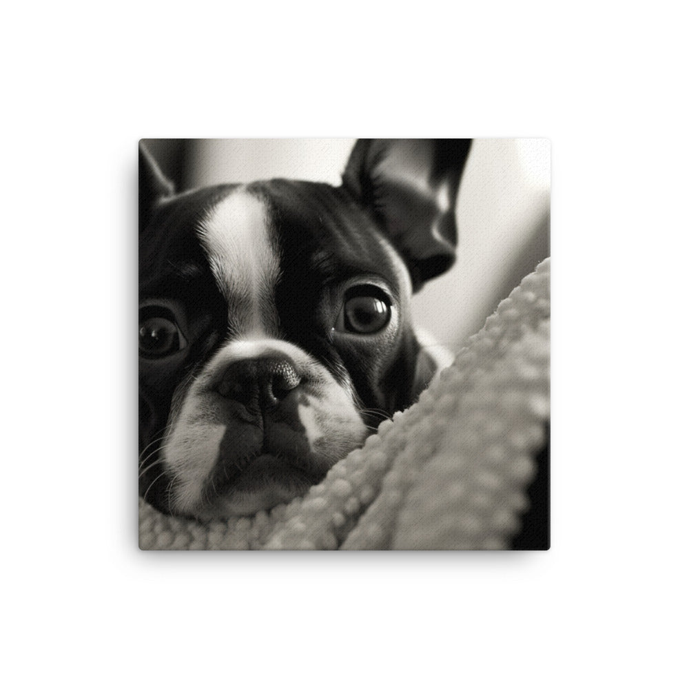 Boston Terrier Pup at Home Canvas - PosterfyAI.com