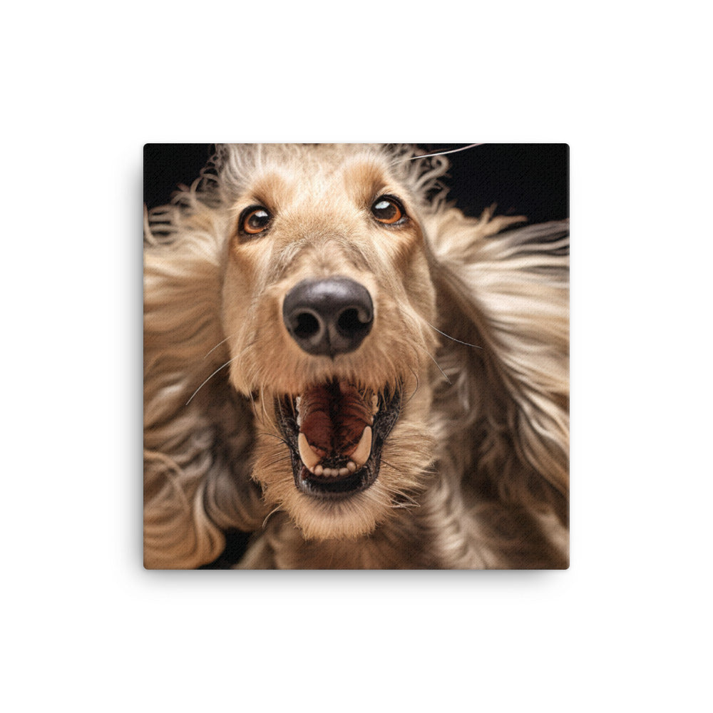 Afghan Hound in a playful mood Canvas - PosterfyAI.com