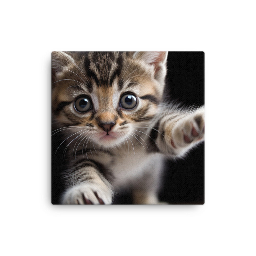 American Shorthair Kitten canvas - Posterfy.AI