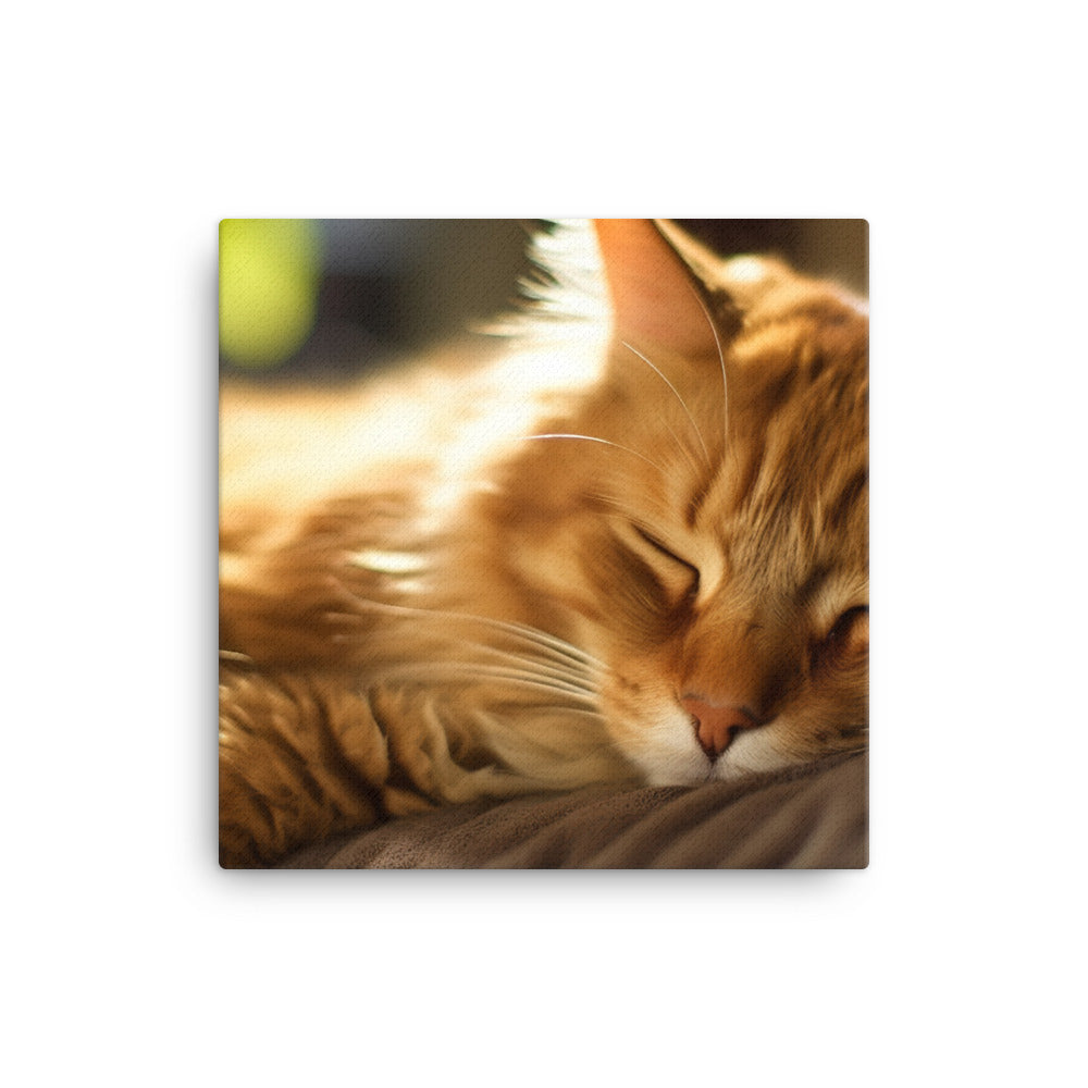 Somali Cat Napping canvas - Posterfy.AI